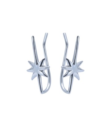 Silver Earrings EL-3598
